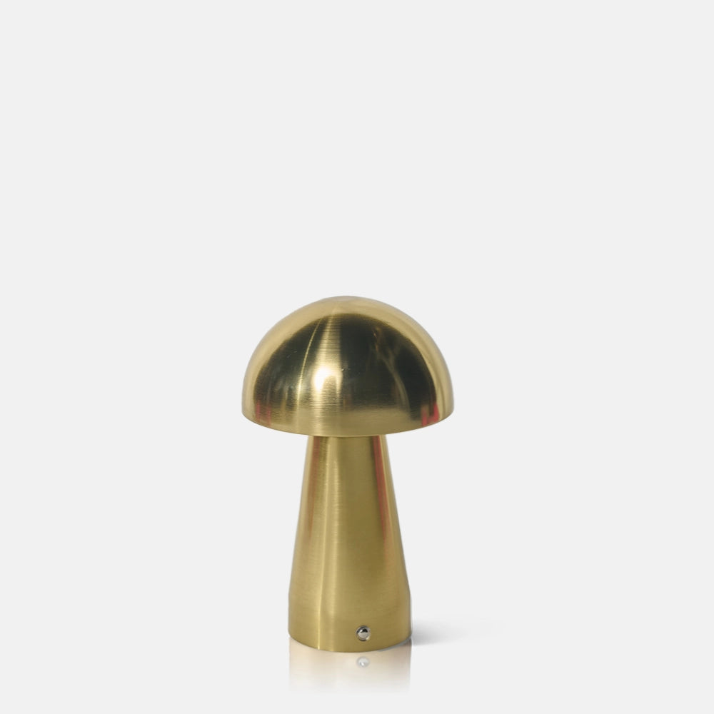 Abigail Ahern Cecily Led Lamp