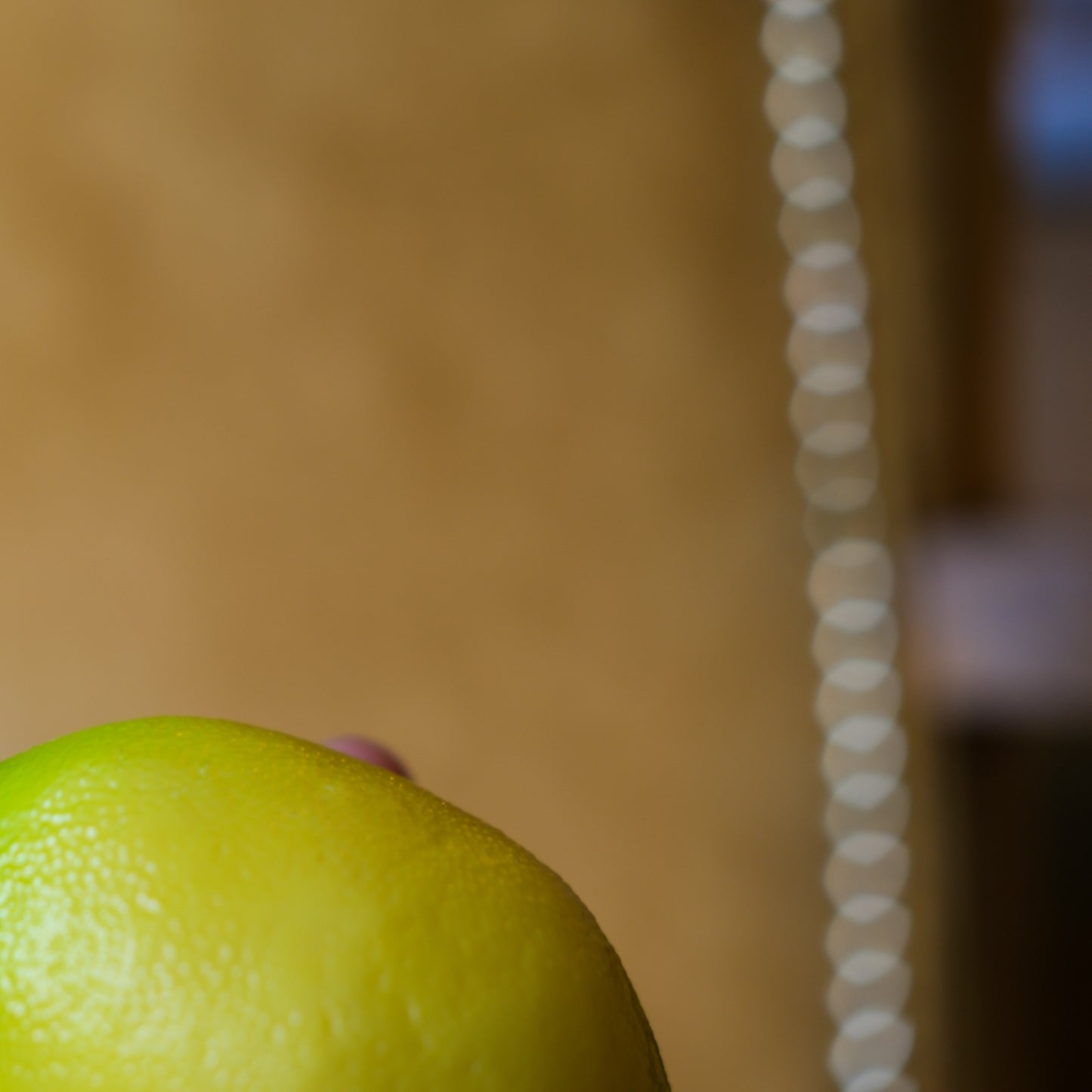 Decorative Faux Lime
