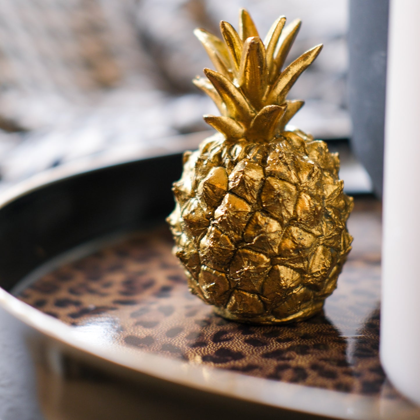 Round Leopard Print Tray