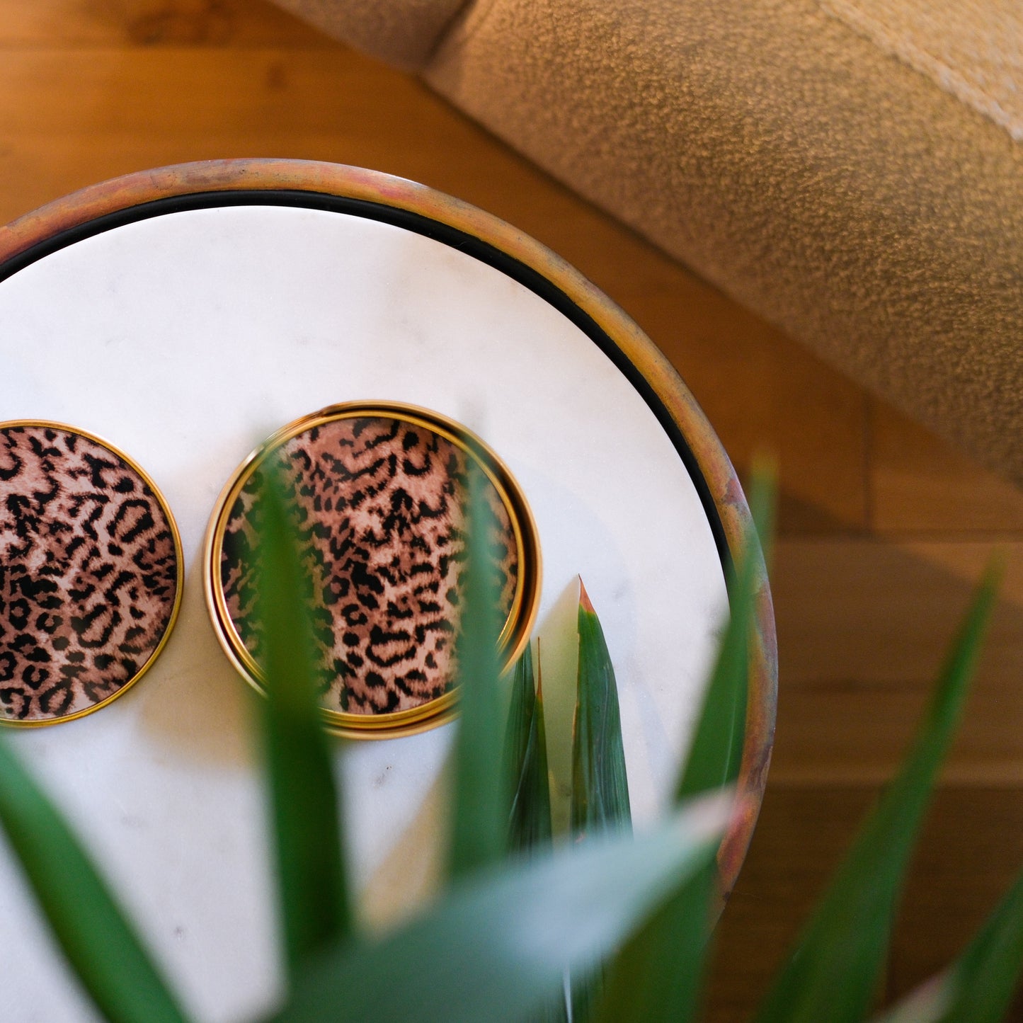 Set of 4 Leopard Print Coasters