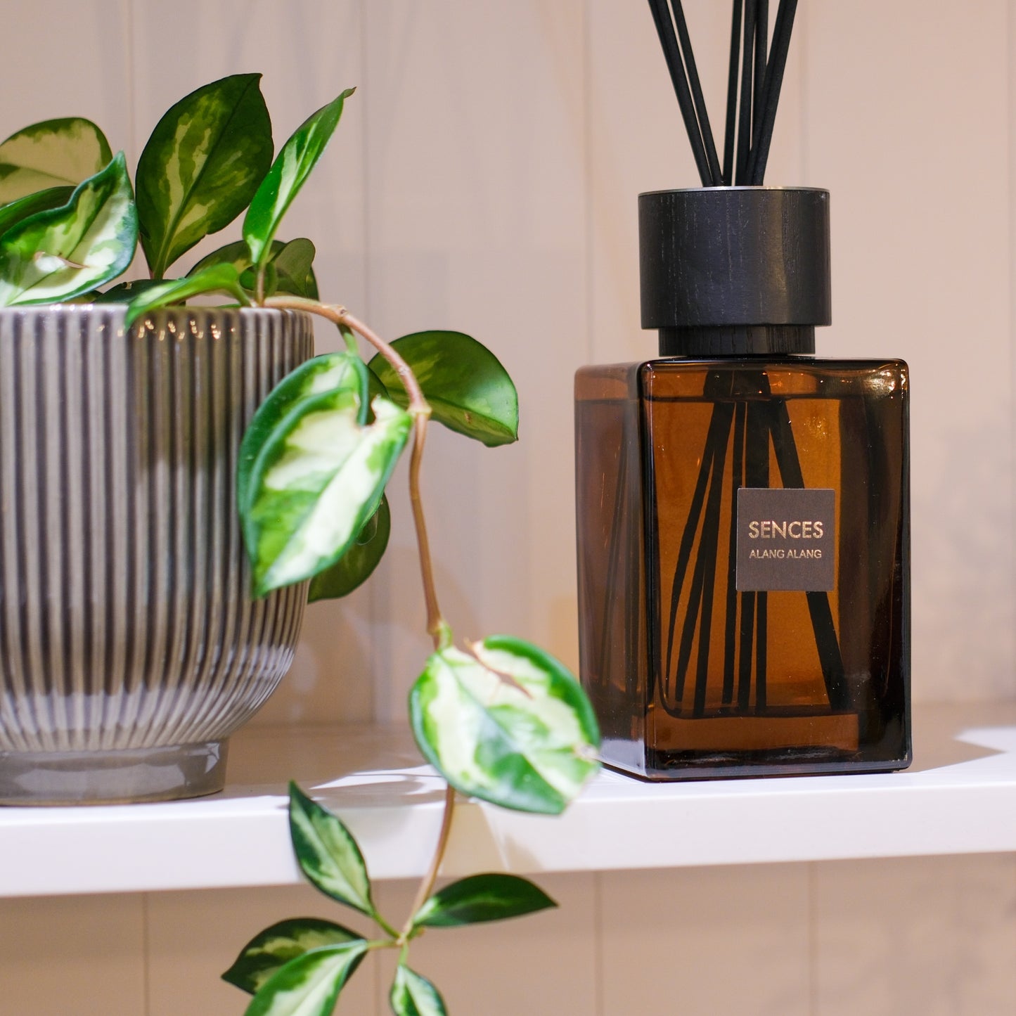 Moroccan Amber Brown Reed Diffuser
