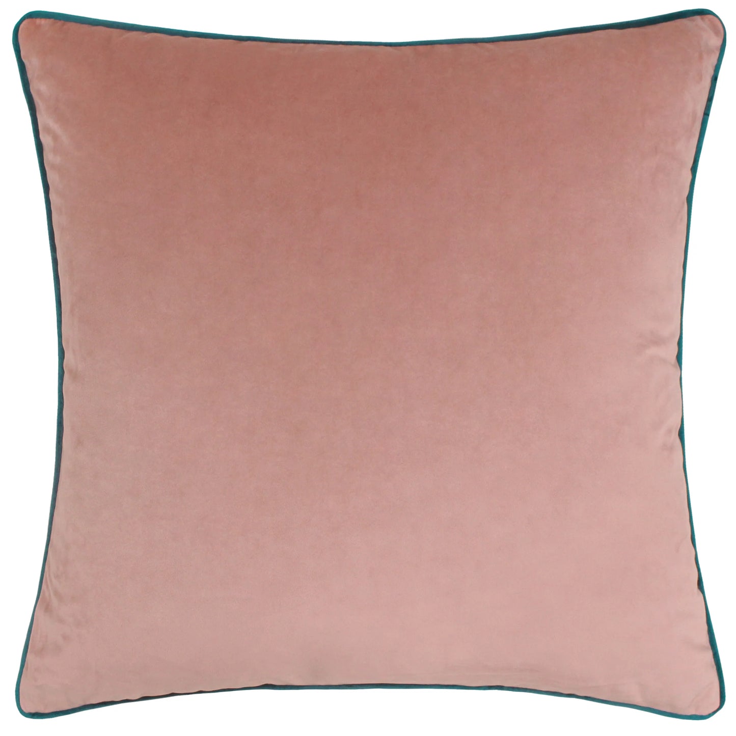 Large Piped Velvet Cushion in Blush & Teal