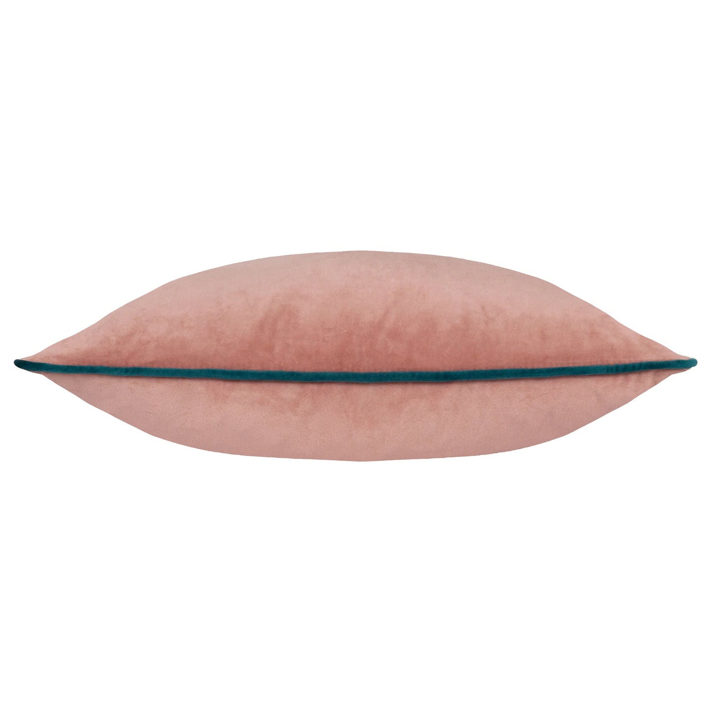 Large Piped Velvet Cushion in Blush & Teal