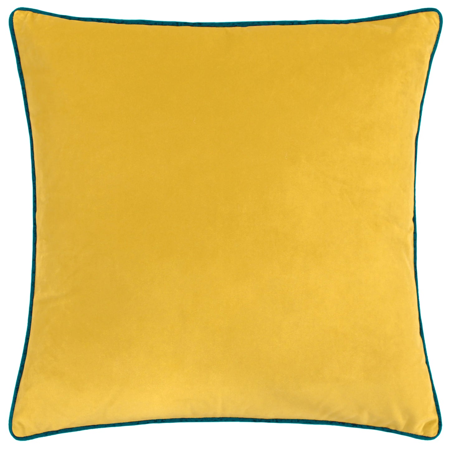 Large Piped Velvet Cushion in Cylon & Teal