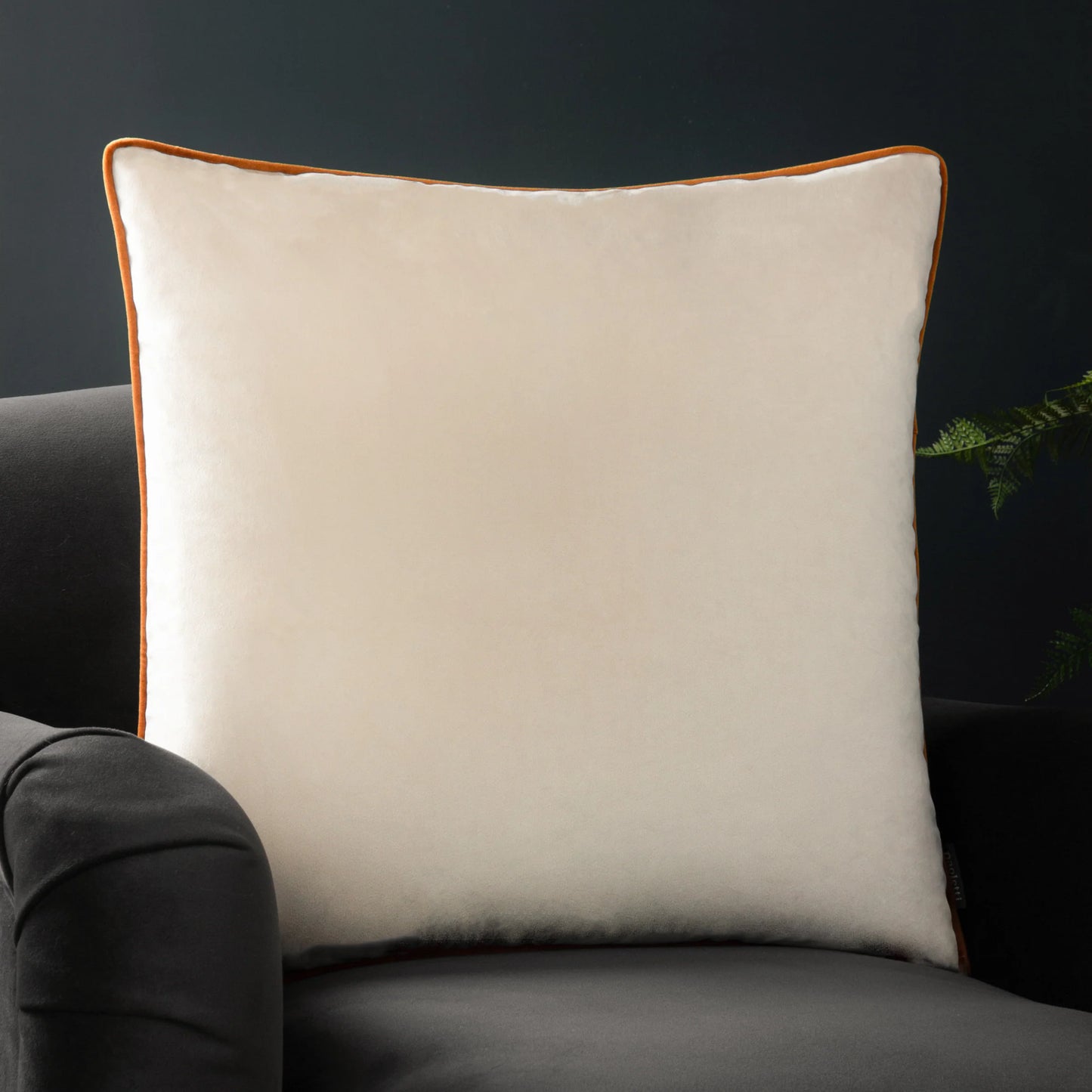 Large Piped Velvet Cushion in Ecru & Ginger