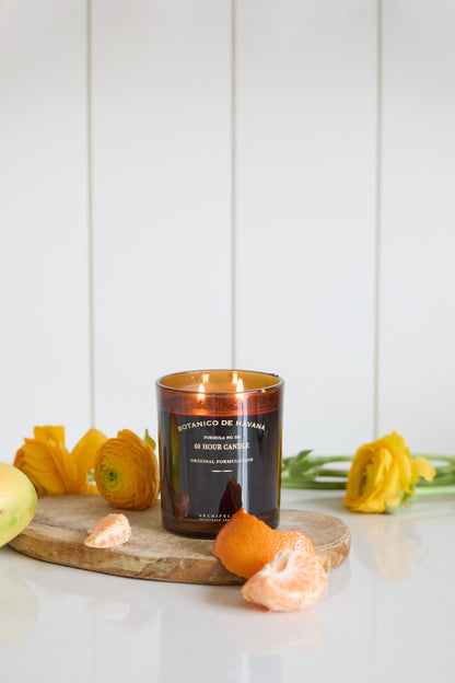 Botanico de Havana Glass Boxed Candle by Archipelago