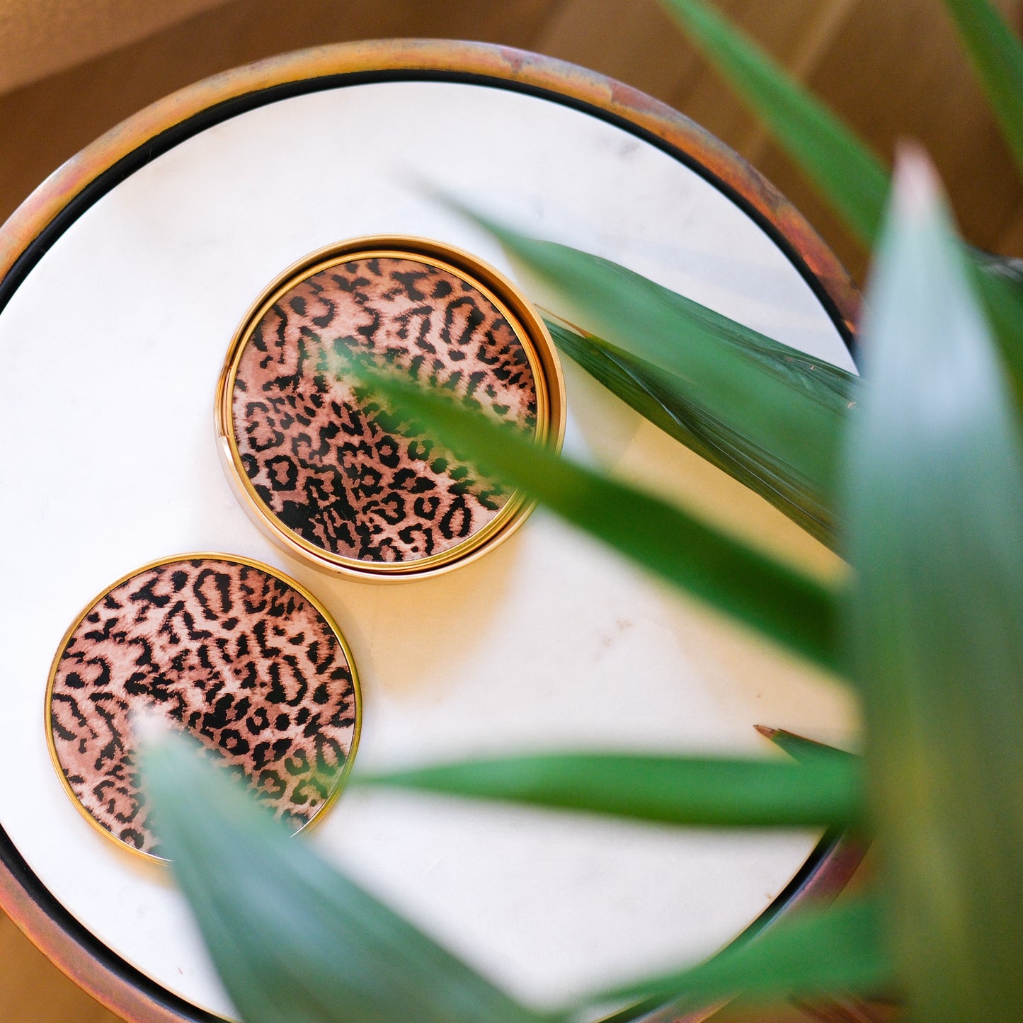 Set of 4 Leopard Print Coasters