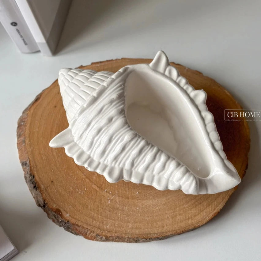 White Conch Shell