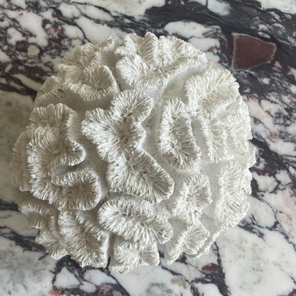 Large Decorative Faux Coral