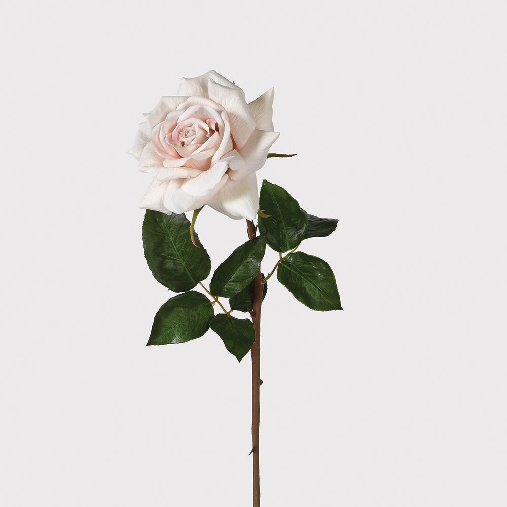 Latte Real Feel Rose with Leaves