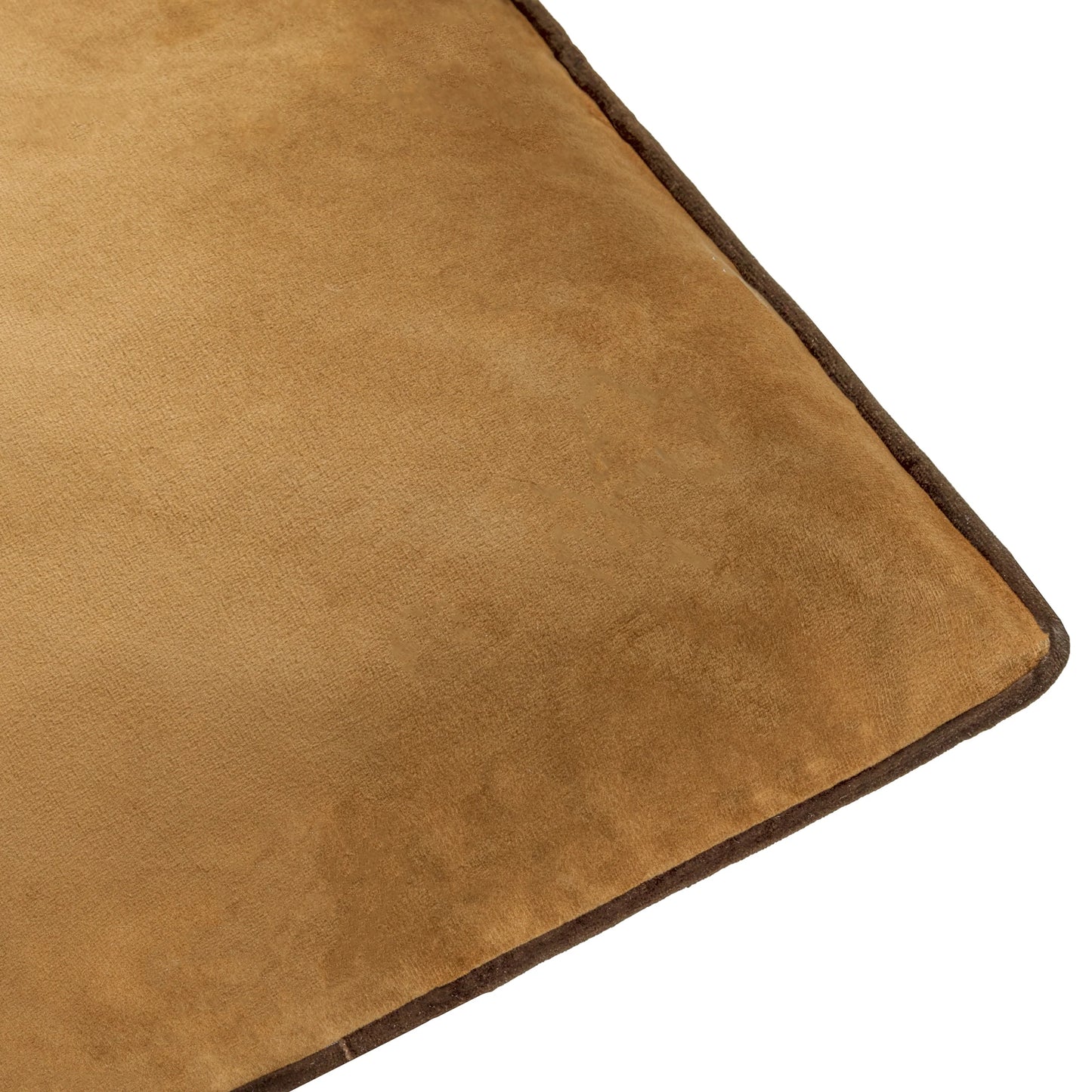 Small Piped Velvet Cushion –  Caramel with Chocolate Trim