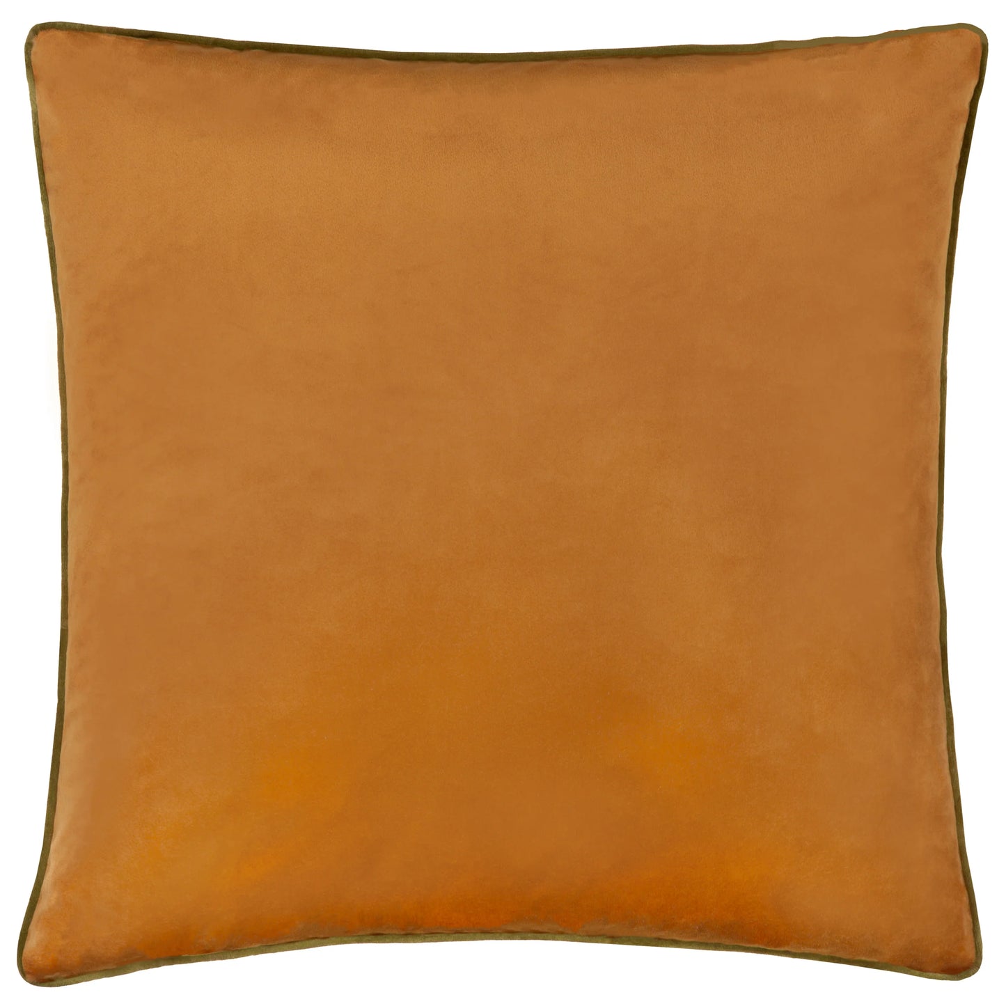Small Piped Velvet Cushion –  Ginger with Olive Trim